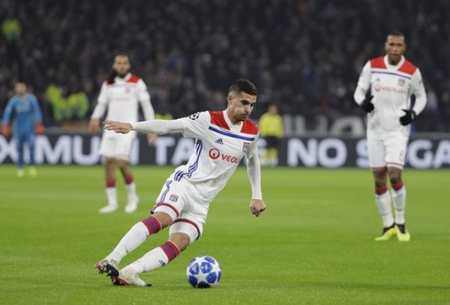 分析表明 分析表明